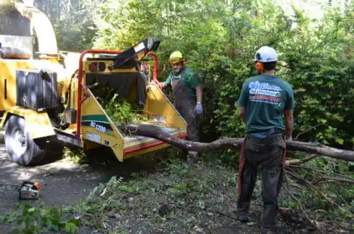 tree services Rapids City